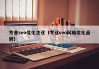 专业seo优化企业（专业seo网站优化品牌）